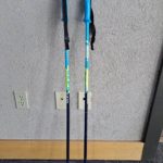Leki Poles - Anderson Leki Poles - Anderson